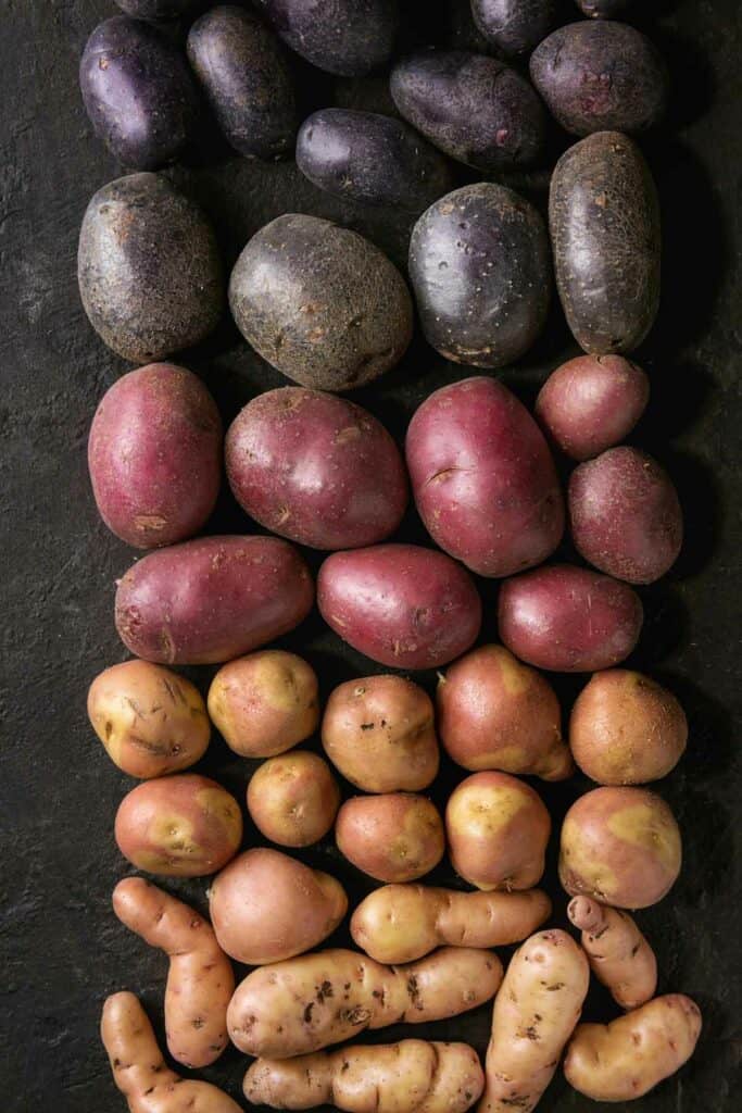 Variety of raw uncooked organic potatoes different kind and colors red, yellow, purple in row over dark texture background. Top view, close, up