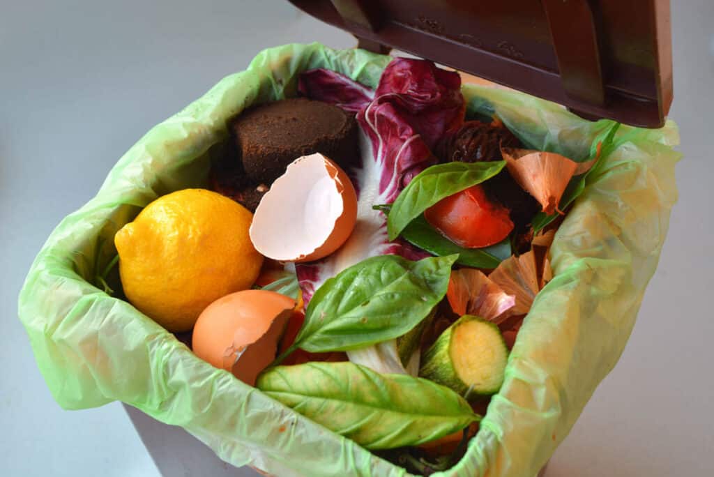 A trash can filled with vegetables and fruit.