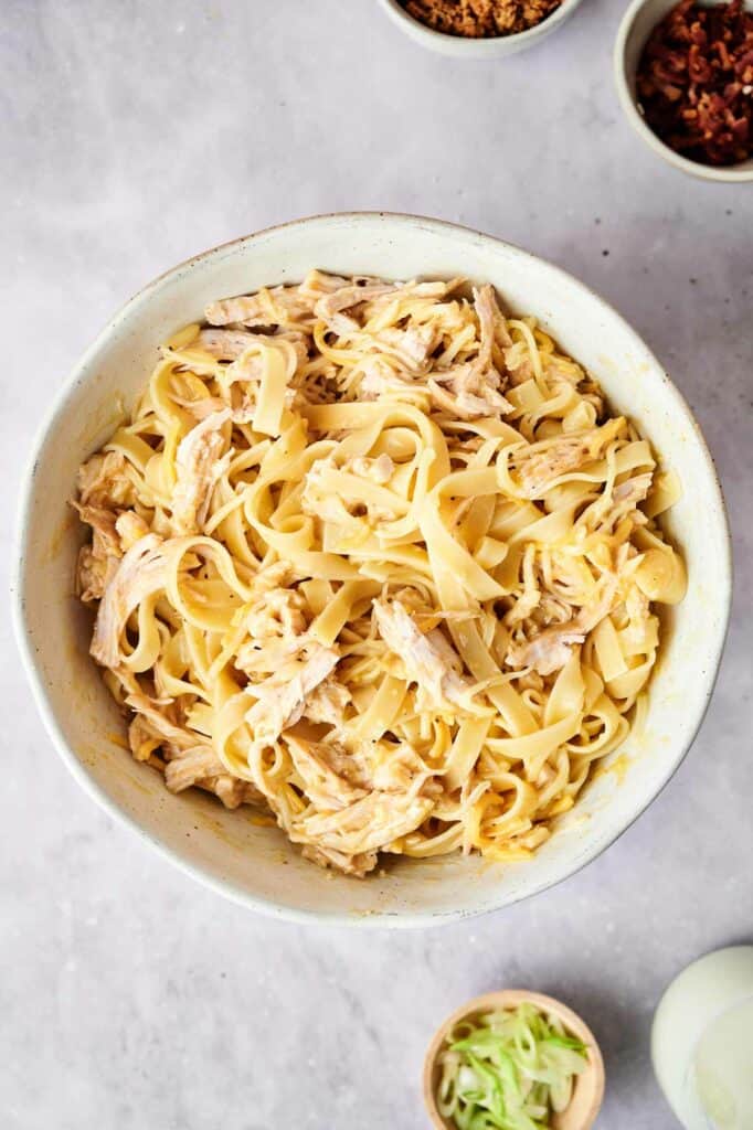 A bowl with noodles, chicken, and vegetables for a chicken casserole dish.