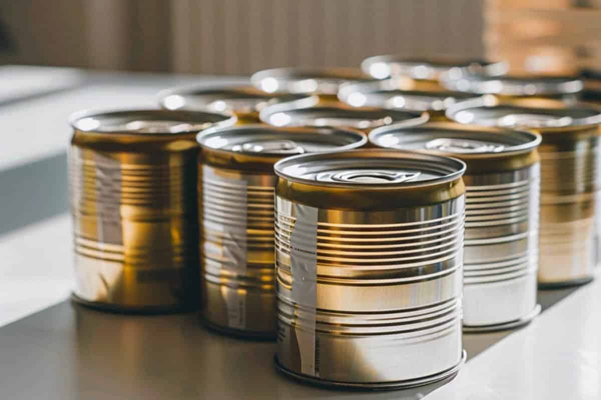 A row of unlabelled, sealed tin cans on a sunlit surface.