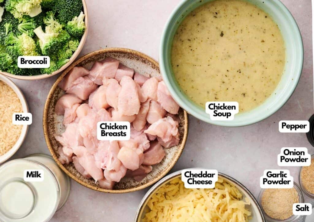 Top view of labeled ingredients for chicken and broccoli casserole, including broccoli, rice, milk, chicken breasts, chicken soup, cheddar cheese, pepper, onion powder, garlic powder, and salt.