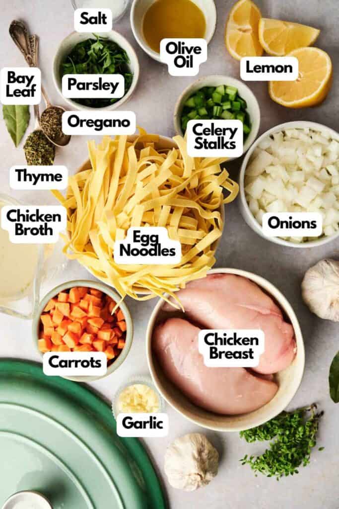 Top view of chicken noodle soup ingredients: chicken breast, egg noodles, onions, celery, carrots, garlic, lemon, olive oil, parsley, thyme, oregano, salt, and chicken broth.