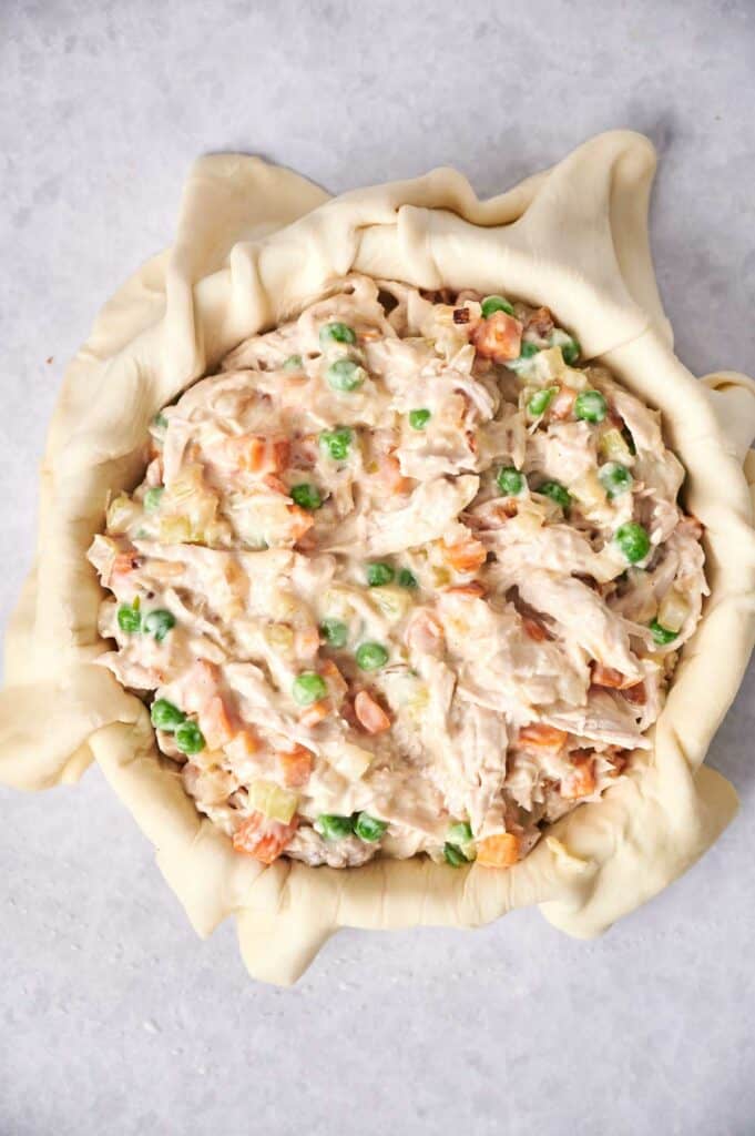 Chicken Pot Pie with chicken and vegetable filling in a pastry crust.