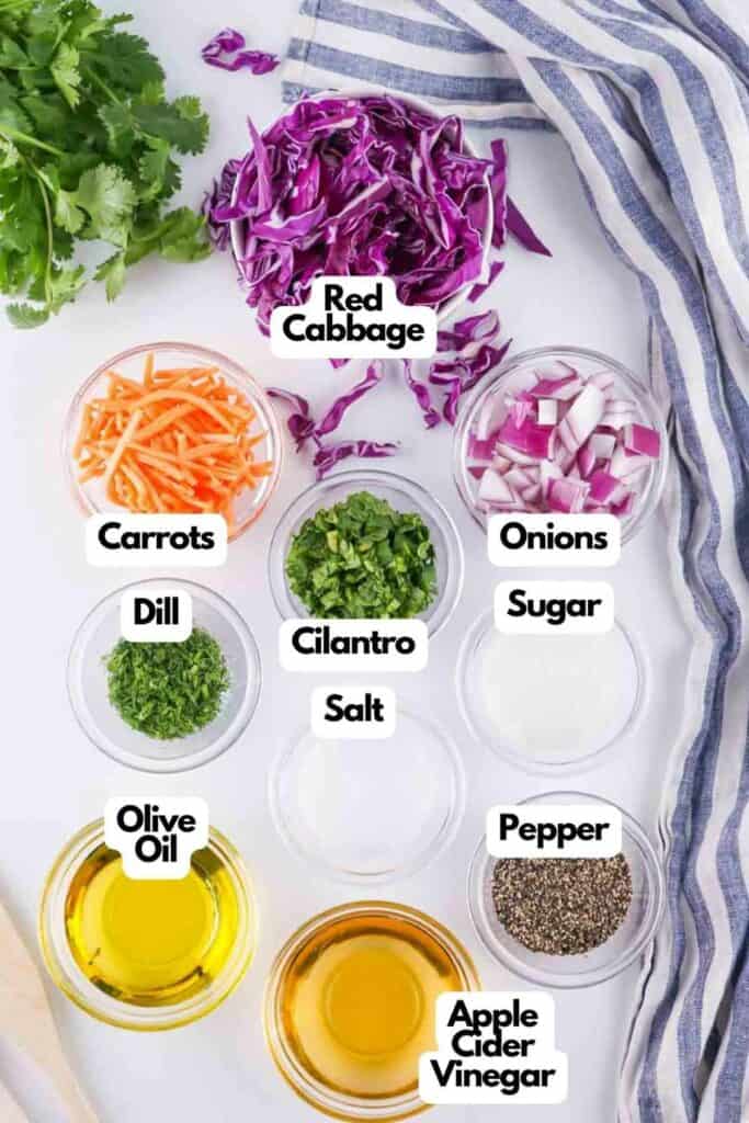 Ingredients for a red cabbage coleslaw recipe neatly arranged and labeled on a white surface.