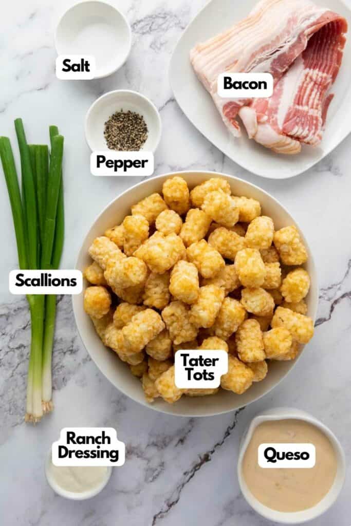 labeled ingredients for a loaded tater tots recipe