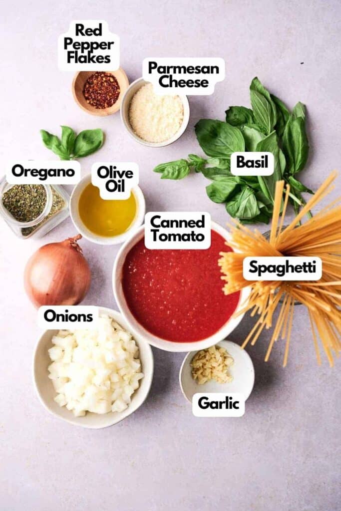 Ingredients for spaghetti arranged on a table, including canned tomatoes, basil, spaghetti, parmesan, garlic, onions, olive oil, oregano, and red pepper flakes.