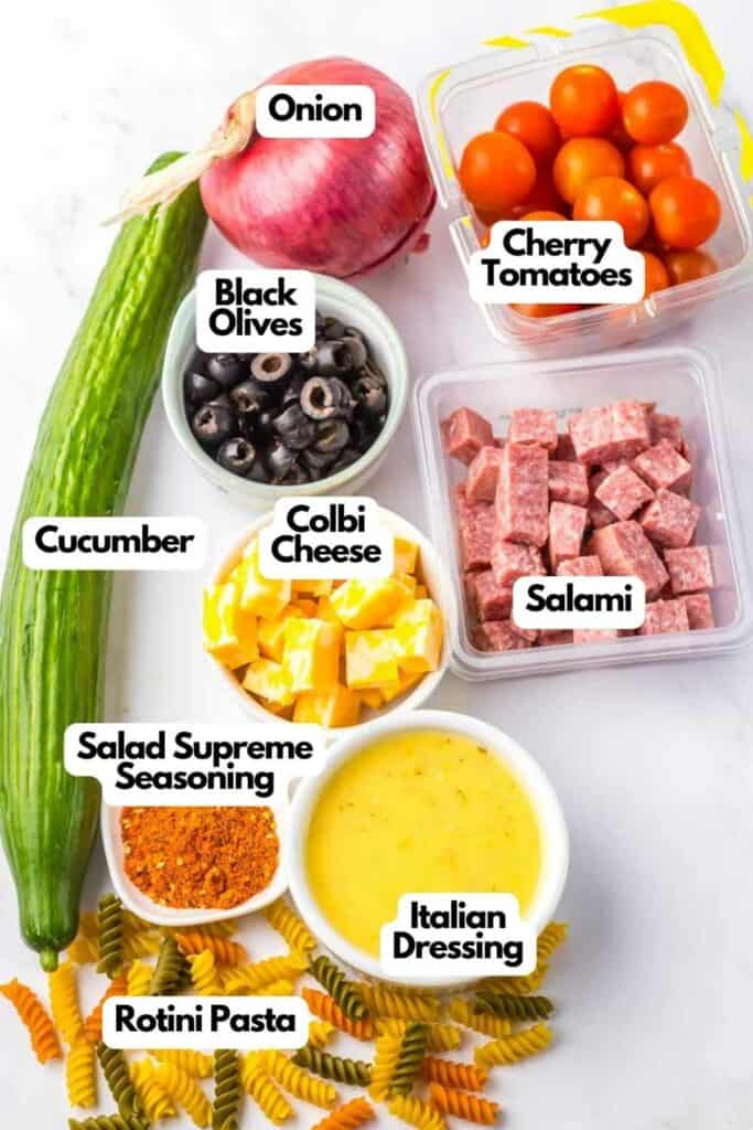 Various labeled ingredients for a Pasta Salad with Salami, including cucumber, olives, cheese, tomatoes, onion, seasoning, and dressing, arranged around uncooked spiral pasta.