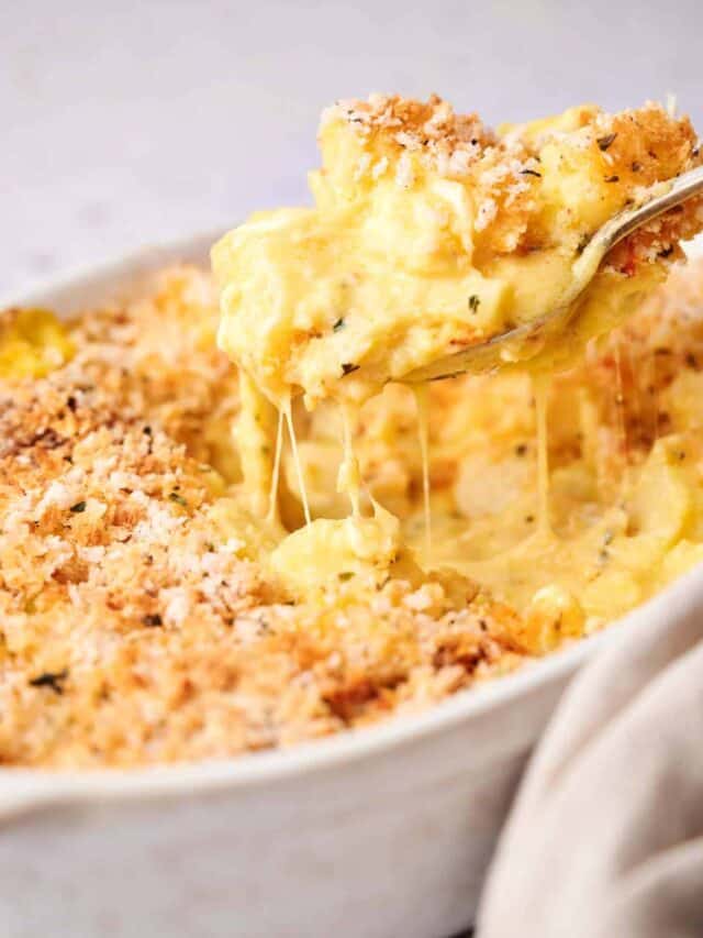 A close-up of a spoon lifting a portion of creamy mac and cheese with a golden breadcrumb crust from a white baking dish.