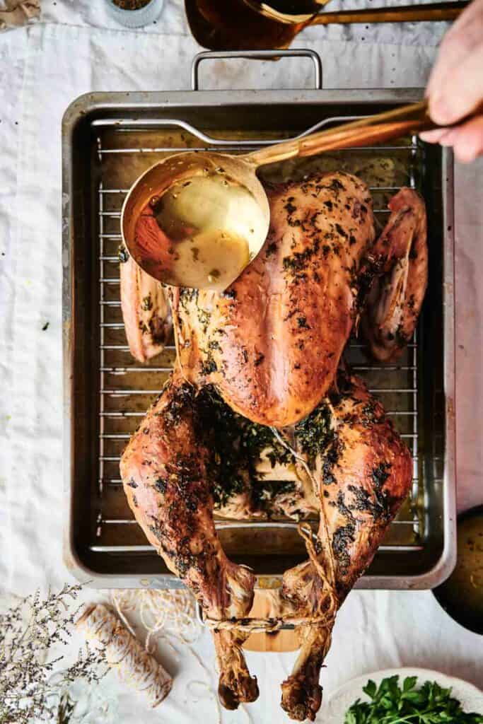 A whole roasted turkey being basted with sauce using a ladle, perfectly positioned on a rack in a roasting pan.