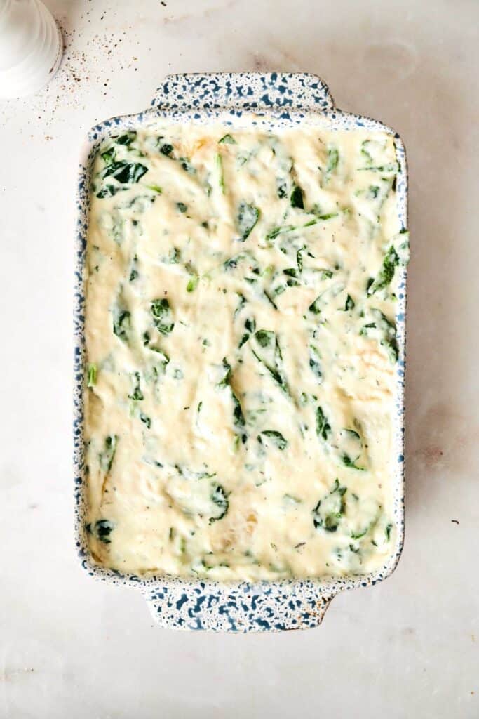 A casserole dish filled with a creamy spinach and cheese mixture reminiscent of Chicken Alfredo Lasagna, showcasing a speckled blue and white pattern on the outside.