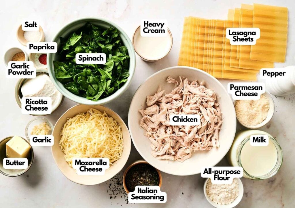 Ingredients for Chicken Alfredo Lasagna arranged on a marble surface, including lasagna sheets, shredded chicken, spinach, various cheeses, dairy, and spices labeled with their names.