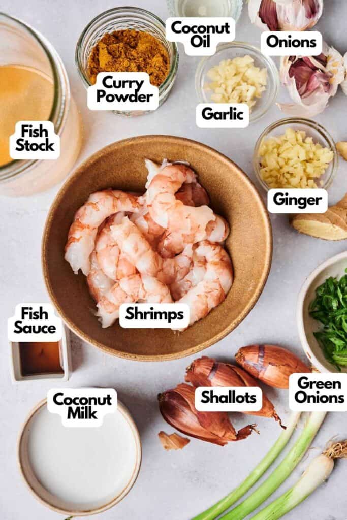 Ingredients for a Thai coconut shrimp curry include shrimps, coconut oil, onions, garlic, ginger, green onions, shallots, fish stock, curry powder, fish sauce, and creamy coconut milk laid out on a surface.