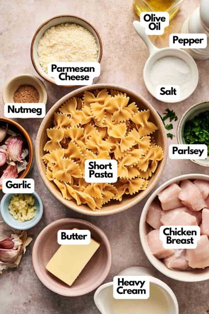 Assorted ingredients for a chicken Alfredo pasta dish are displayed: short pasta, chicken breast, butter, garlic, olive oil, nutmeg, parsley, Parmesan cheese, heavy cream, salt, and pepper.