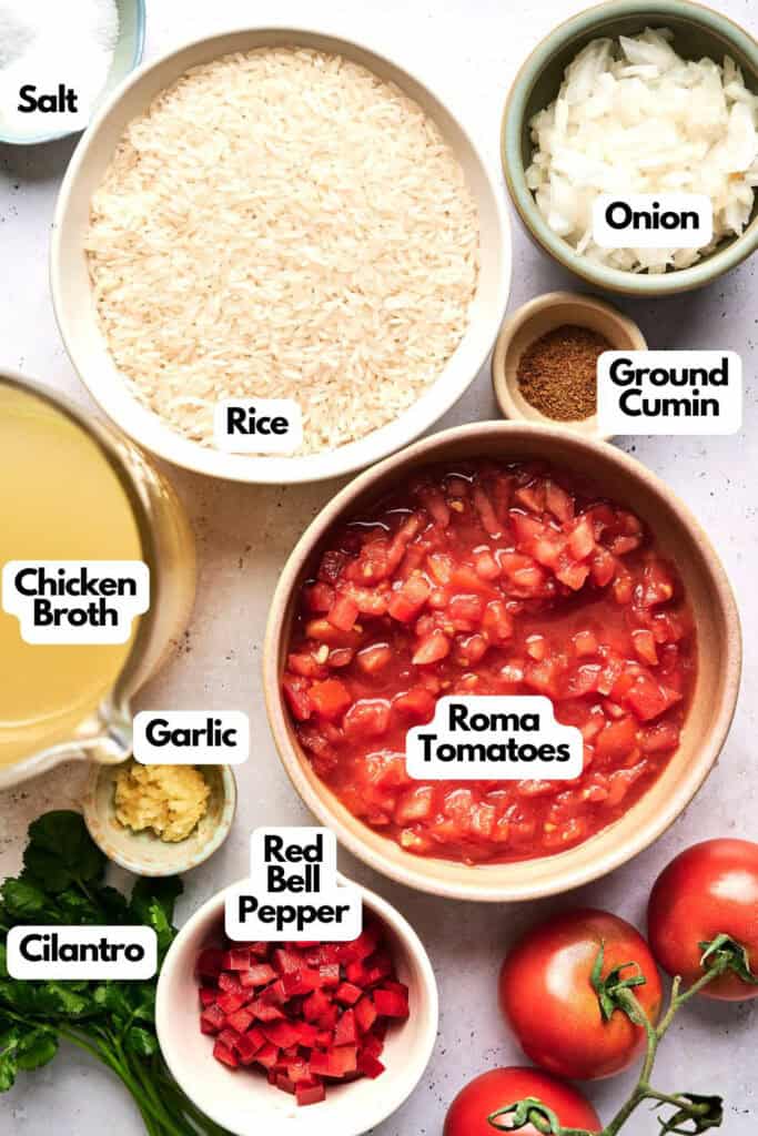 A flat lay of ingredients for a Mexican rice recipe: rice, chopped onion, ground cumin, salt, chicken broth, minced garlic, cilantro, red bell pepper, and chopped Roma tomatoes.