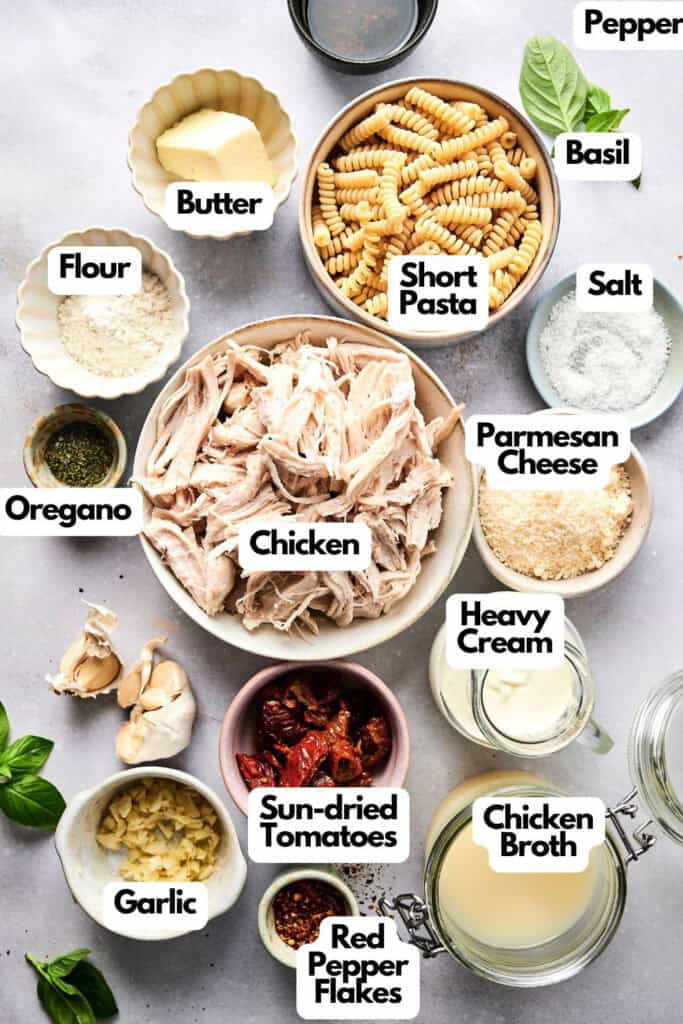 Top-down view of labeled ingredients for Marry Me Chicken Pasta Salad, featuring chicken, short pasta, sun-dried tomatoes, heavy cream, chicken broth, Parmesan, garlic, spices, butter, and flour.