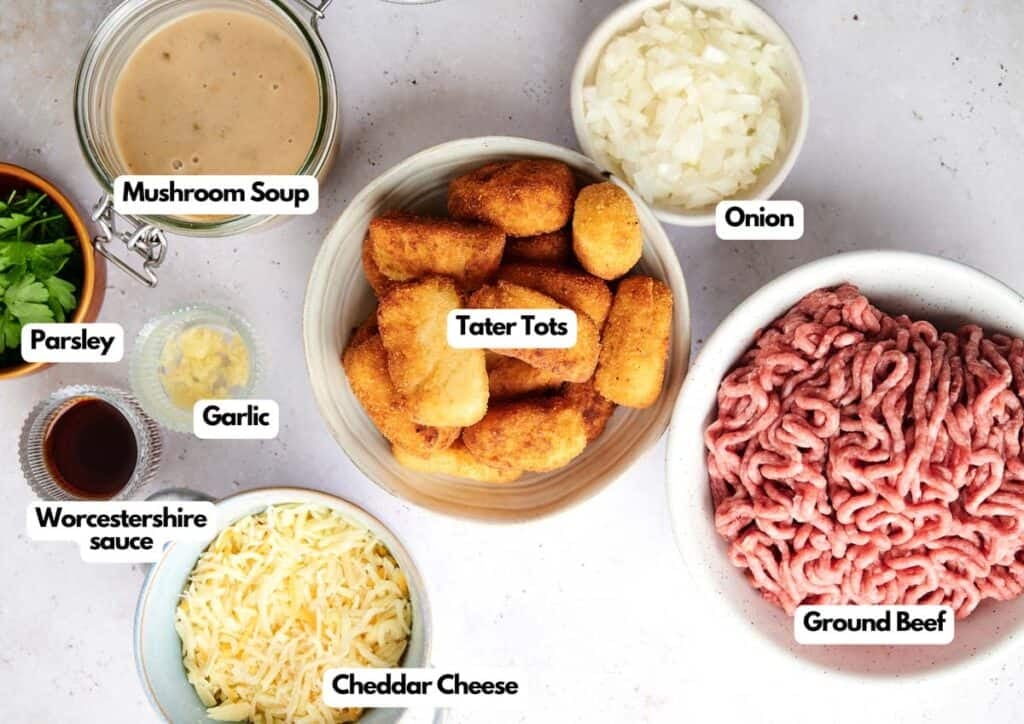 Labeled ingredients for a Tater Tot Casserole displayed on a countertop: mushroom soup, onion, ground beef, cheddar cheese, Worcestershire sauce, parsley, garlic, and tater tots.